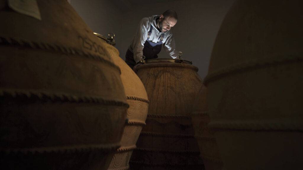 Azienda Agricola Cirelli