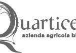 Quarticello - Logo