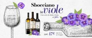 Box Limited edition Sbocciano le Viole