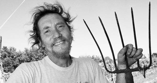 Stefano Bellotti - Cascina degli ulivi