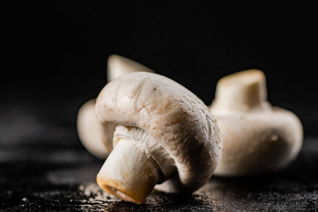 I vini da abbinare con i funghi in autunno