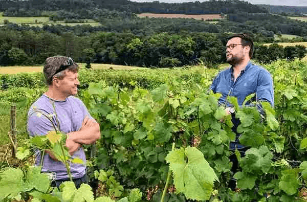 Domaine de la Cadette